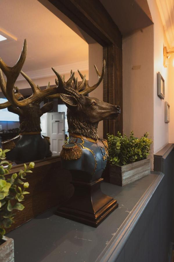 The Stag Hotel And Mailmans Arms Lyndhurst Exteriör bild